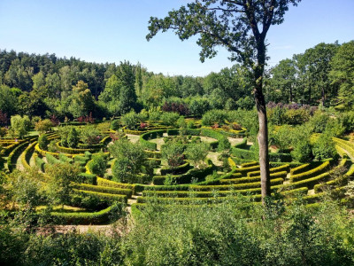 Arboretum Bramy Morawskiej w Raciborzu